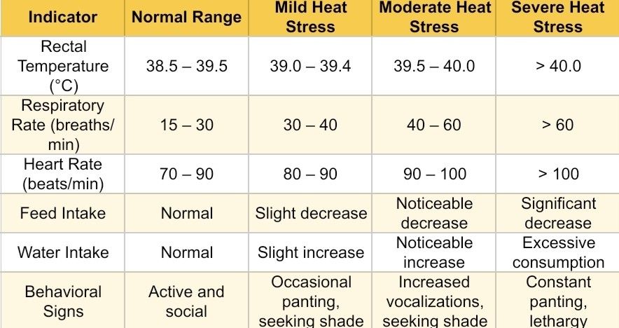 Memahami Stres Panas pada Kambing Perah: Panduan bagi Peternak Indonesia 17270564932127478574587567299002